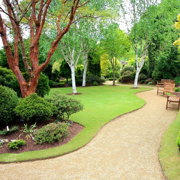 Architectural Plants Architectural Plants UK